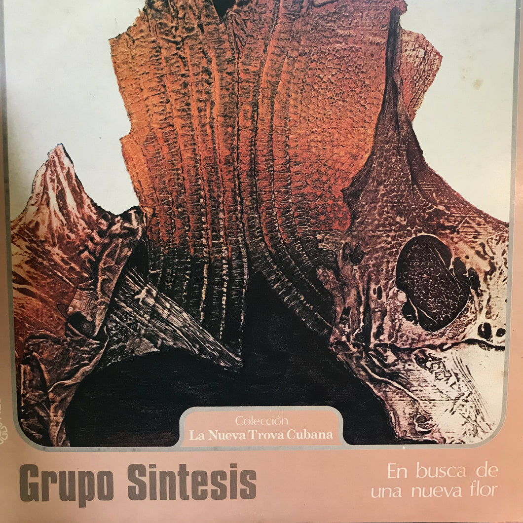 Grupo Sintesis – En Busca De Una Nueva Flor - Nueva Trova - Latin