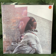 Aldous Harding - Warm Chris