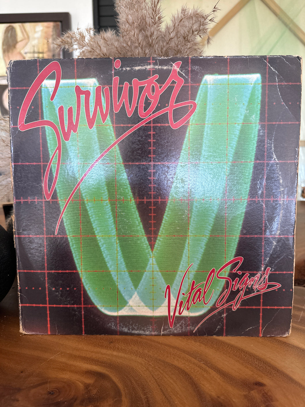 Survivor - Vital Signs