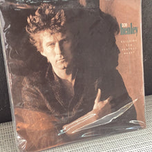 Don Henley - Building the perfect beast
