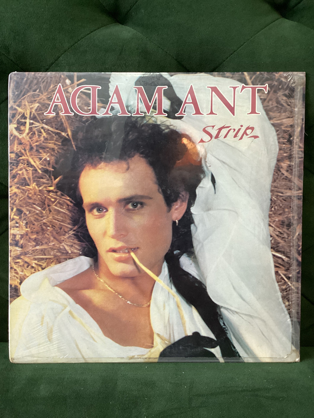 Adam Ant - Strip