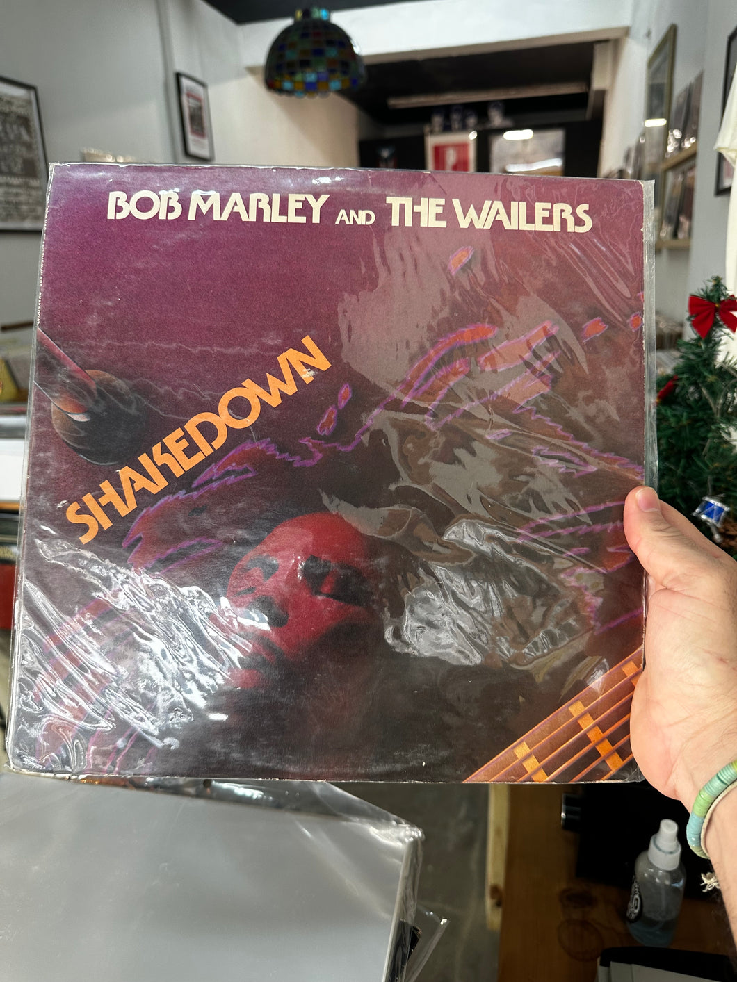 Bob Marley and The Wailers - Shakedown
