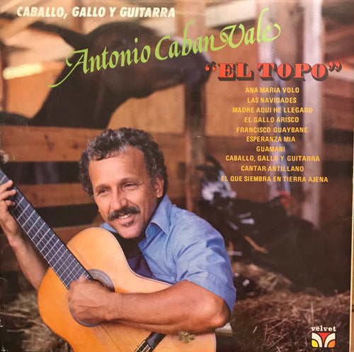 Antonio Cabán Vale 