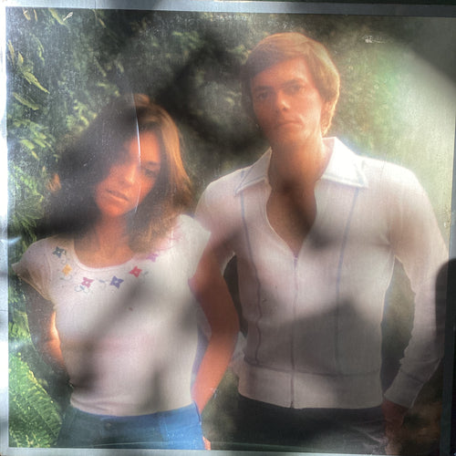 Carpenters - Horizon