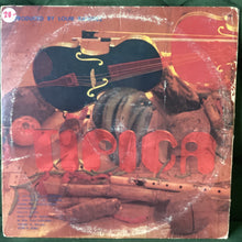 Tipica Novel - Sabrosa Novel
