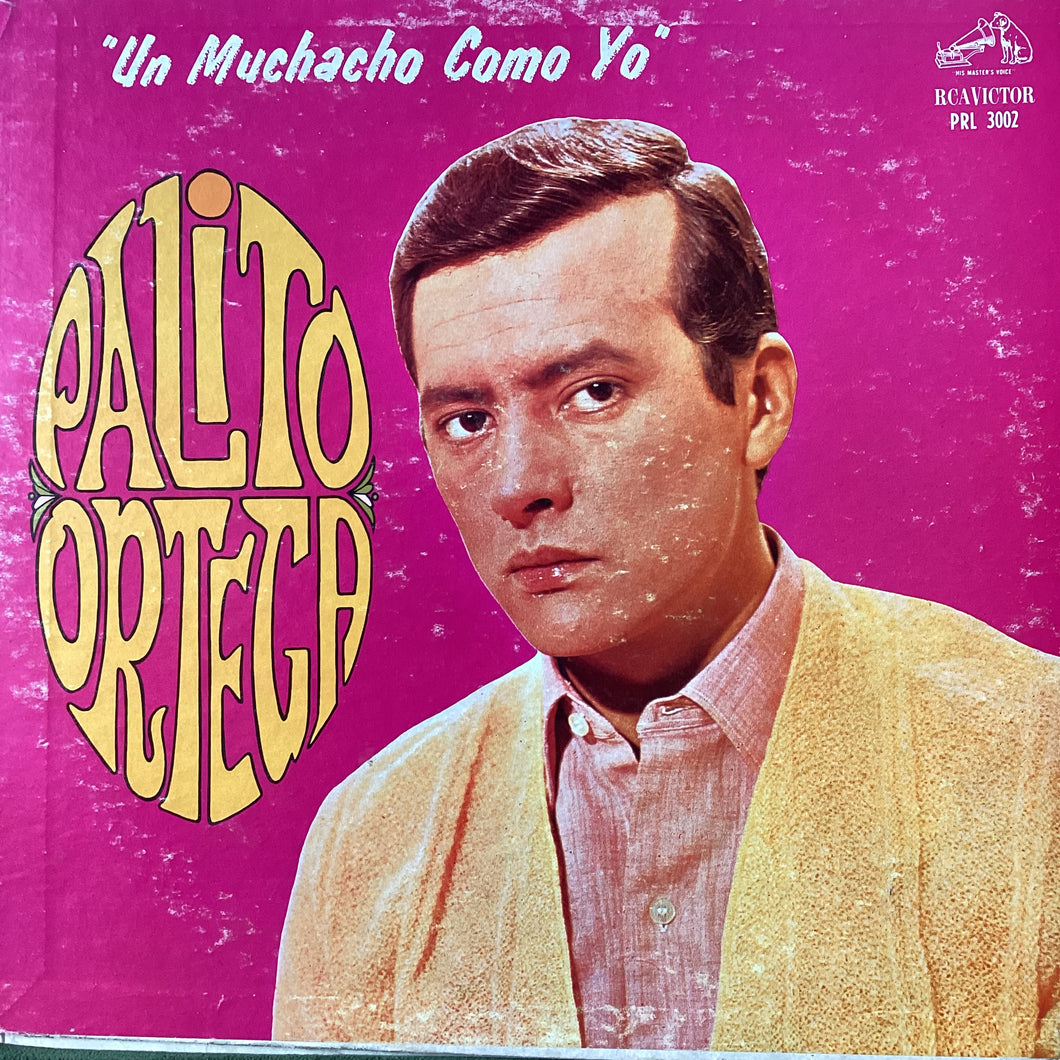 Palito Ortega - Un muchacho como yo