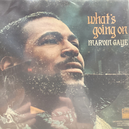 Marvin Gaye - What's Going On