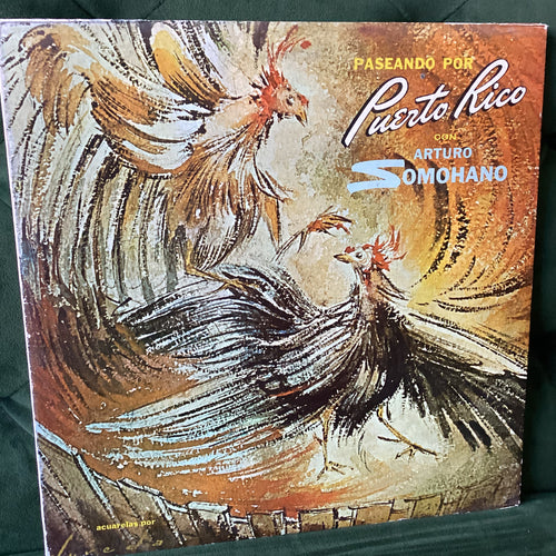 Arturo Somohano -  Paseando por Puerto Rico
