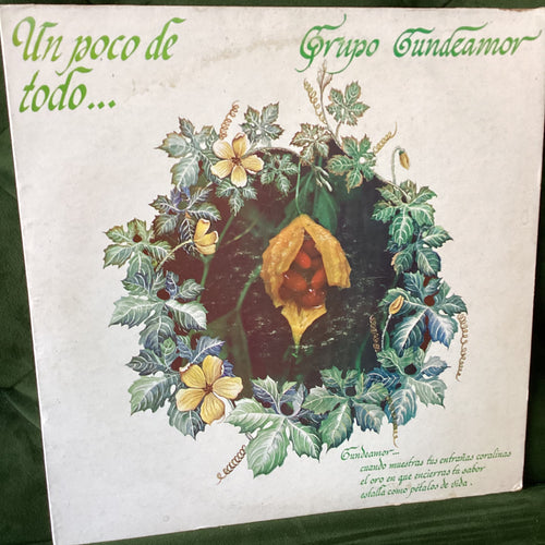 Grupo Gundeamor - Un Poco de Todo…