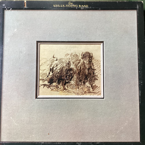 The Stills Young band - Long May you run