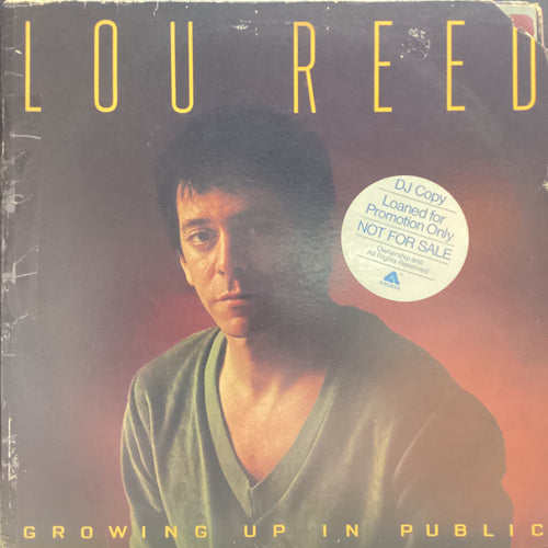 Lou Reed - Growing Up in Public (Promo)