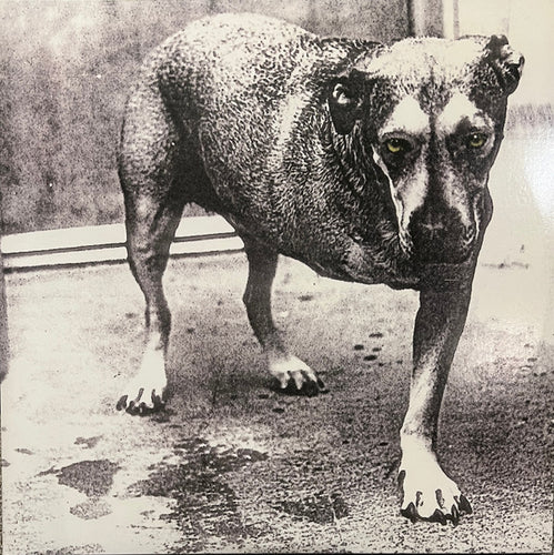 Alice In Chains – Alice In Chains (Limited Color Edition)