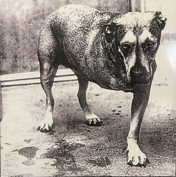 Alice In Chains – Alice In Chains (Limited Color Edition)
