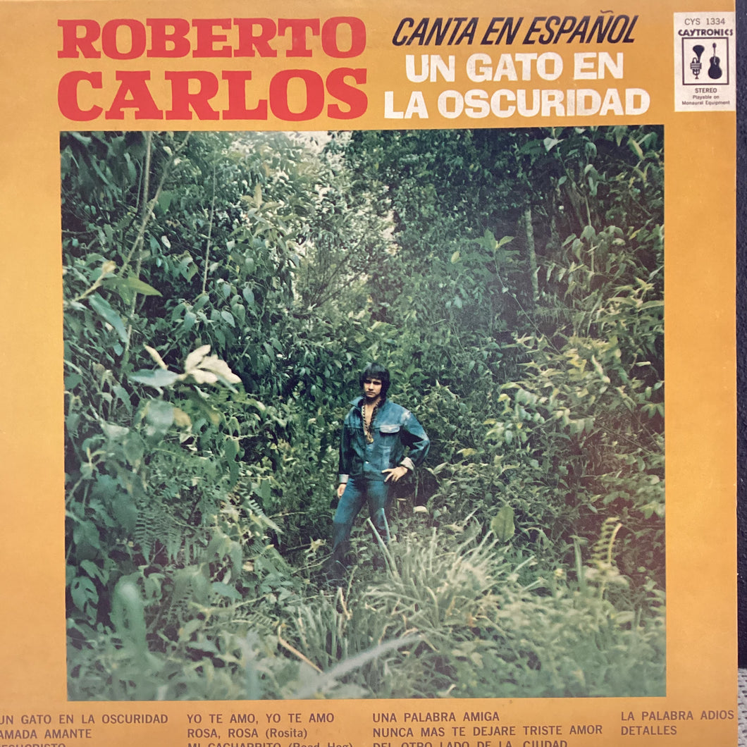 Roberto Carlos - Un gato en la obscuridad