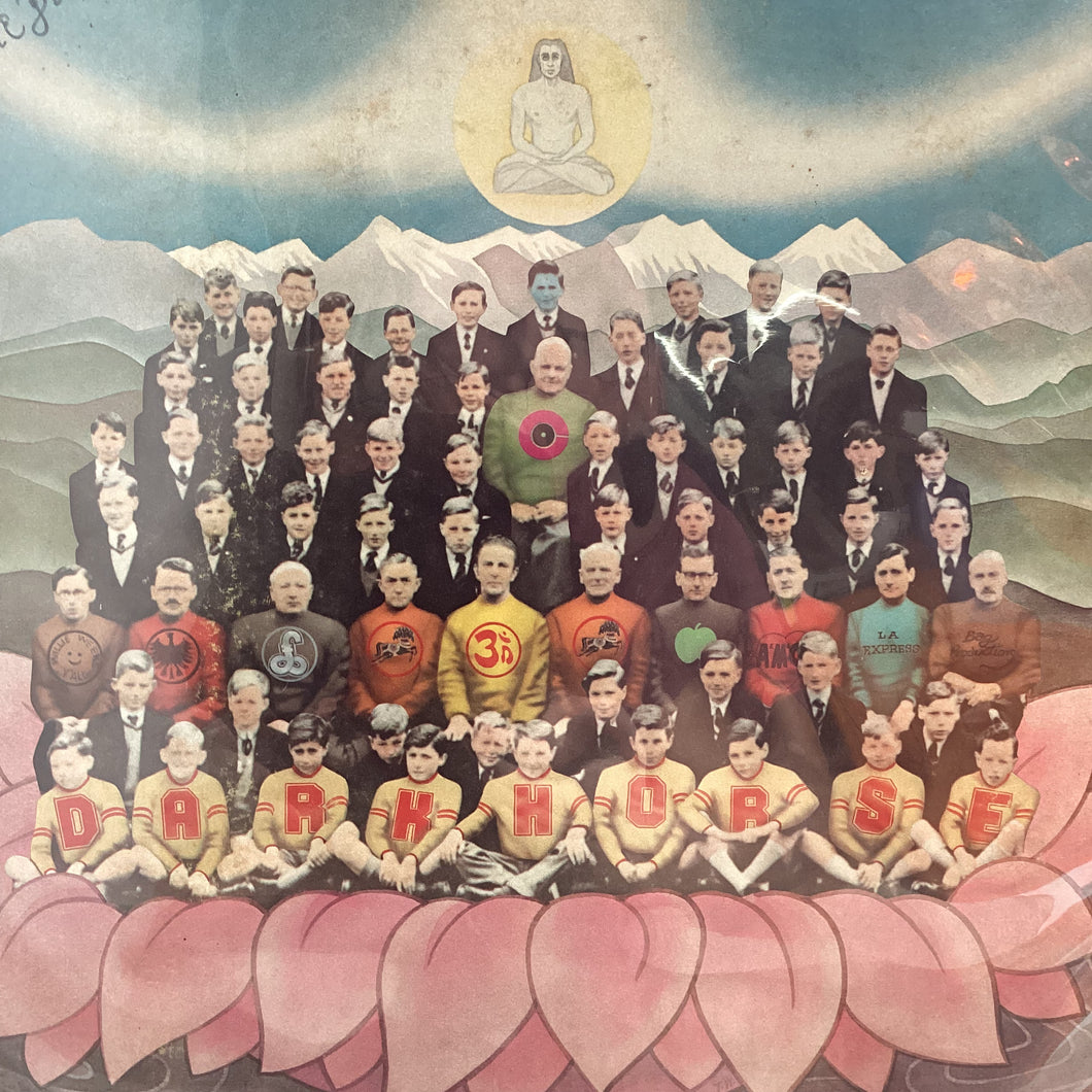 George Harrison - Darkhorse