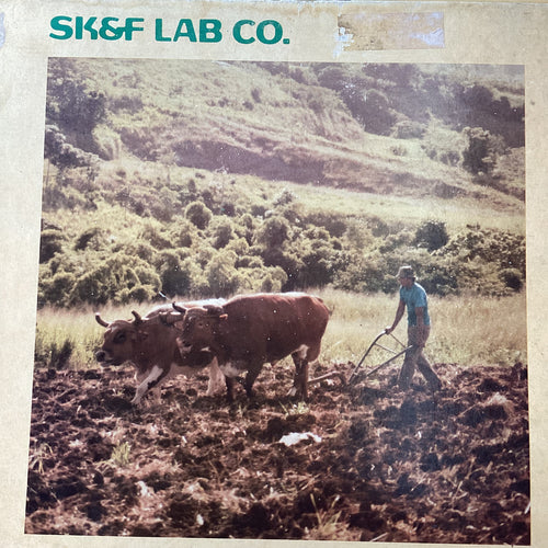 SK&F LAB CO. ‎– Todos Podemos Cantar
