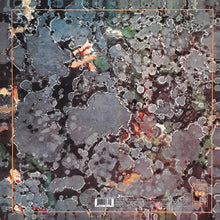 Invisible - El Jardín De Los Presentes