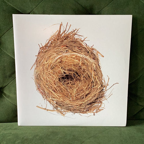 Wilco - A Ghost is Born