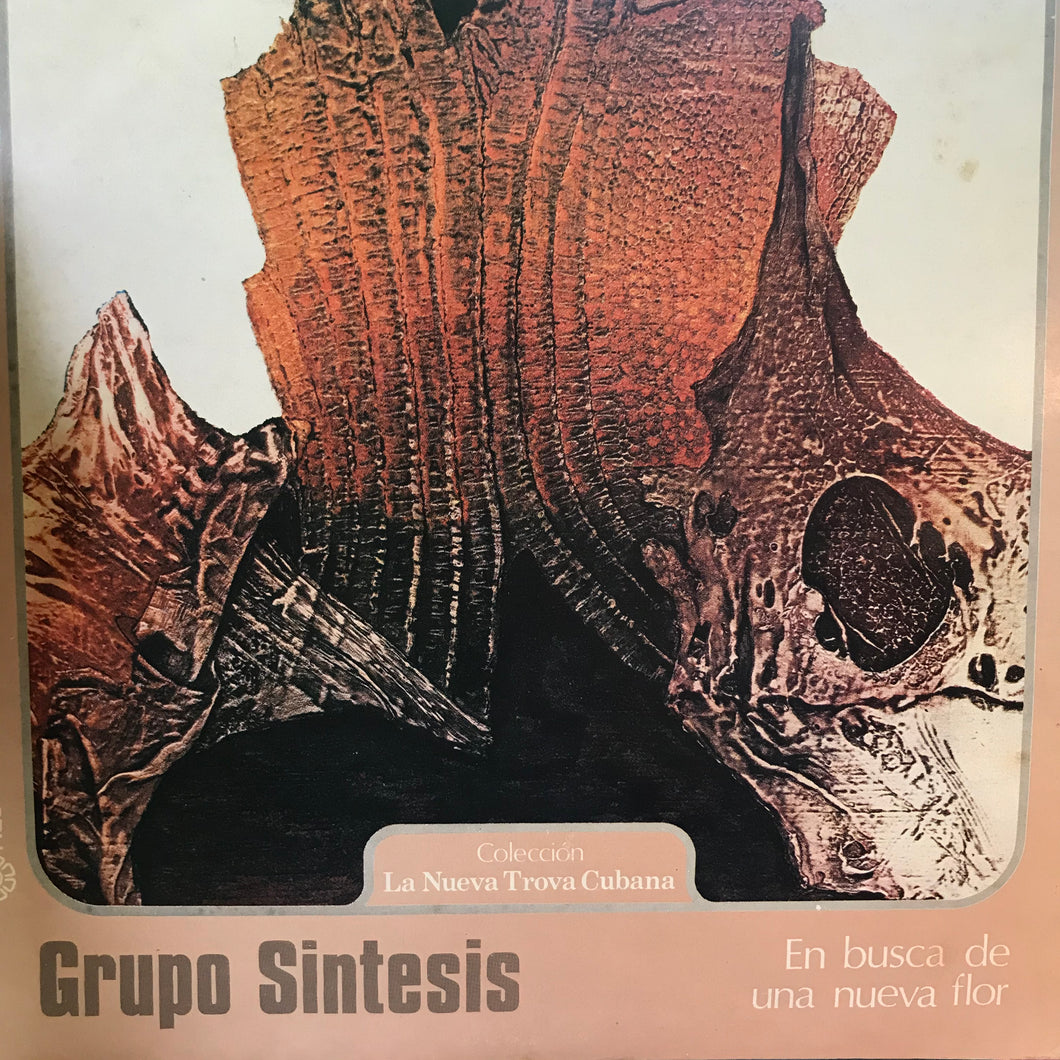 Grupo Sintesis ‎– En Busca De Una Nueva Flor - Nueva Trova - Latin