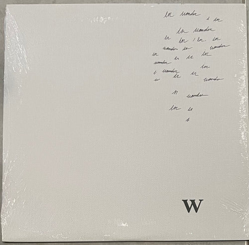 Shawn Mendes - Wonder