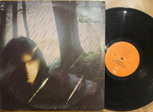 Biddu Orchestra - Rain Forest