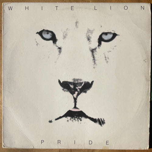 White Lion - Pride