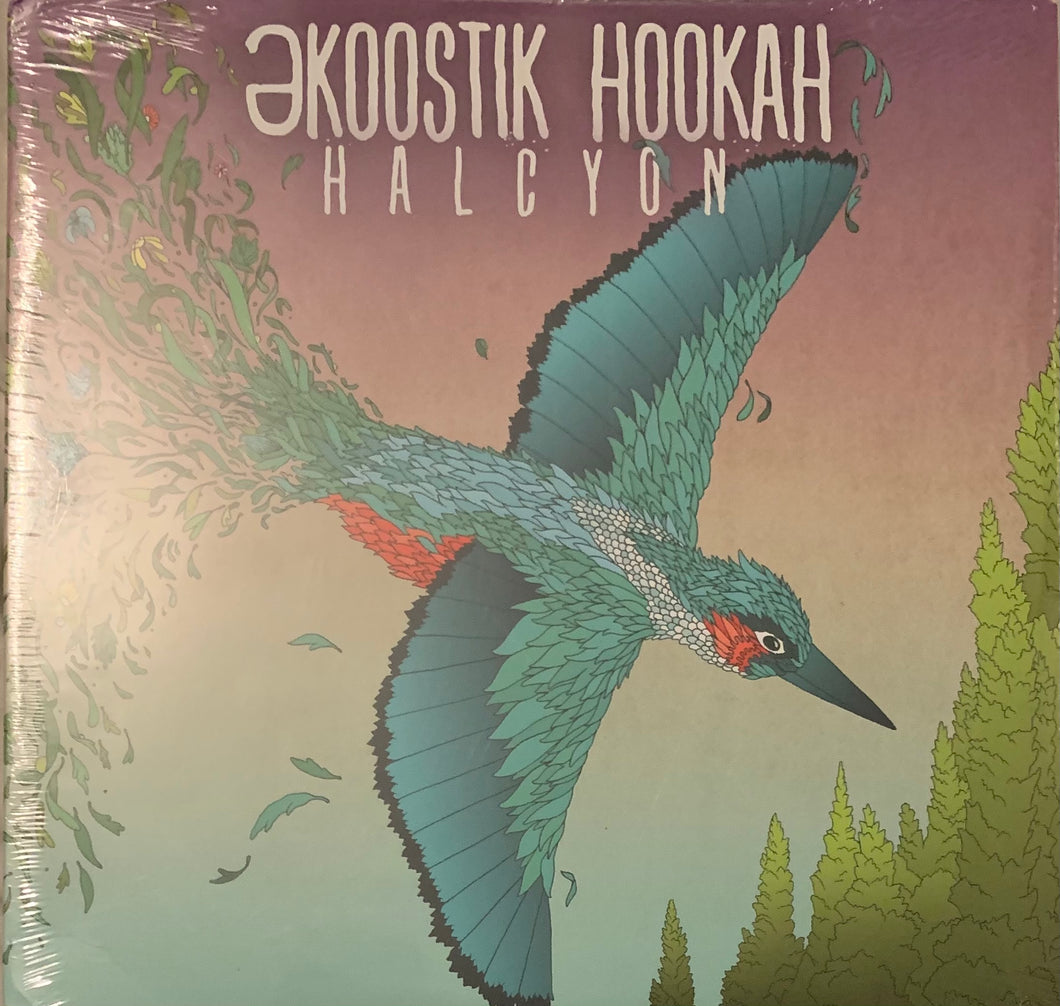 ekoostik hookah - Halcyon