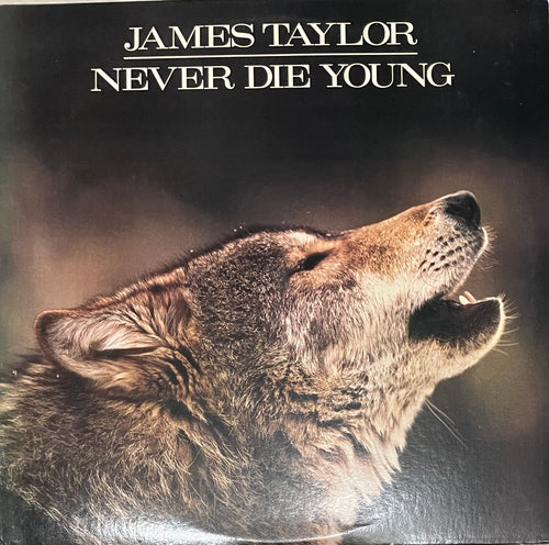 James Taylor - Never Die Young