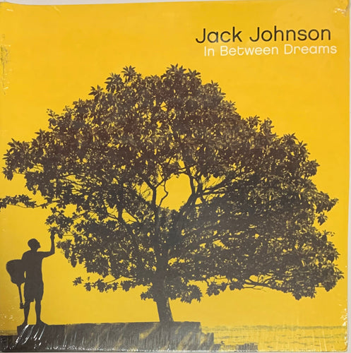 Jack Johnson - In Between Dreams