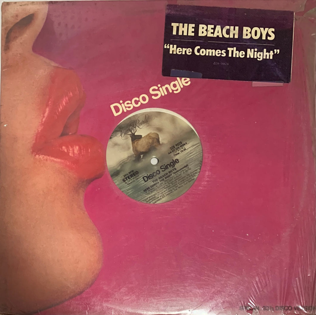 The Beach Boys - Here Comes The Night