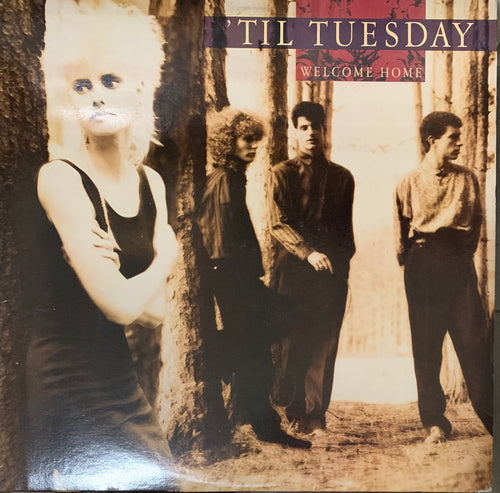 'Til Tuesday - Welcome Home