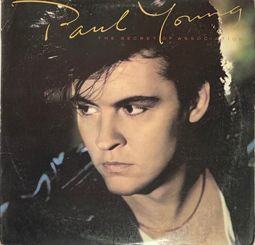 Paul Young - The Secret Of Association